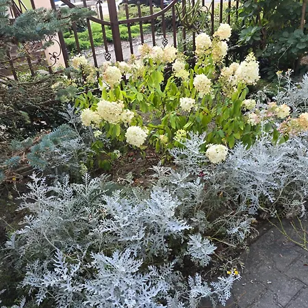 Kwatera prywatna Eldom-noclegi Rogozińska 29e *